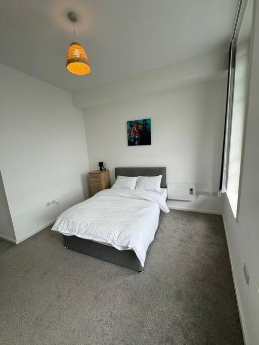 Spacious Flat In Sheffield City Center Gs304 Bagian luar foto
